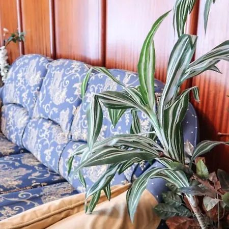 H Pelayo Auto Check-in *