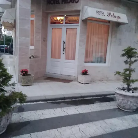 H Pelayo Auto Check-in *