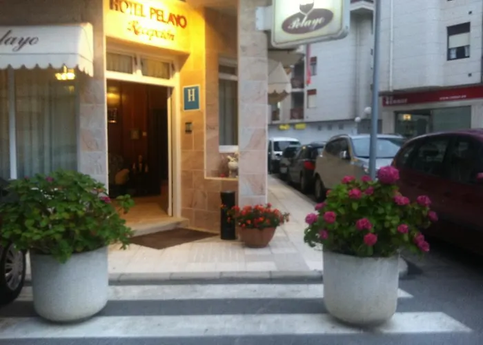 H Pelayo Auto Check-in