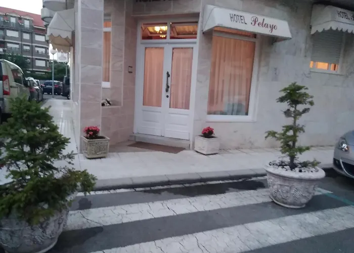 H Pelayo Auto Check-in *