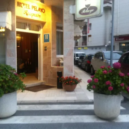 H Pelayo Auto Check-in