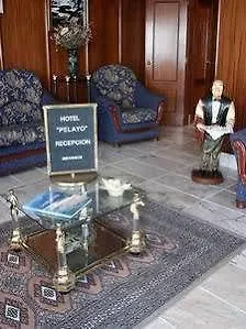 H Pelayo Auto Check-in Noja