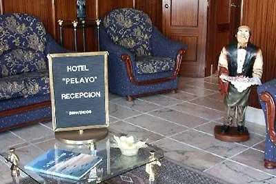 H Pelayo Auto Check-in